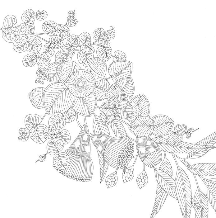 Woodland Wild - ilustrace